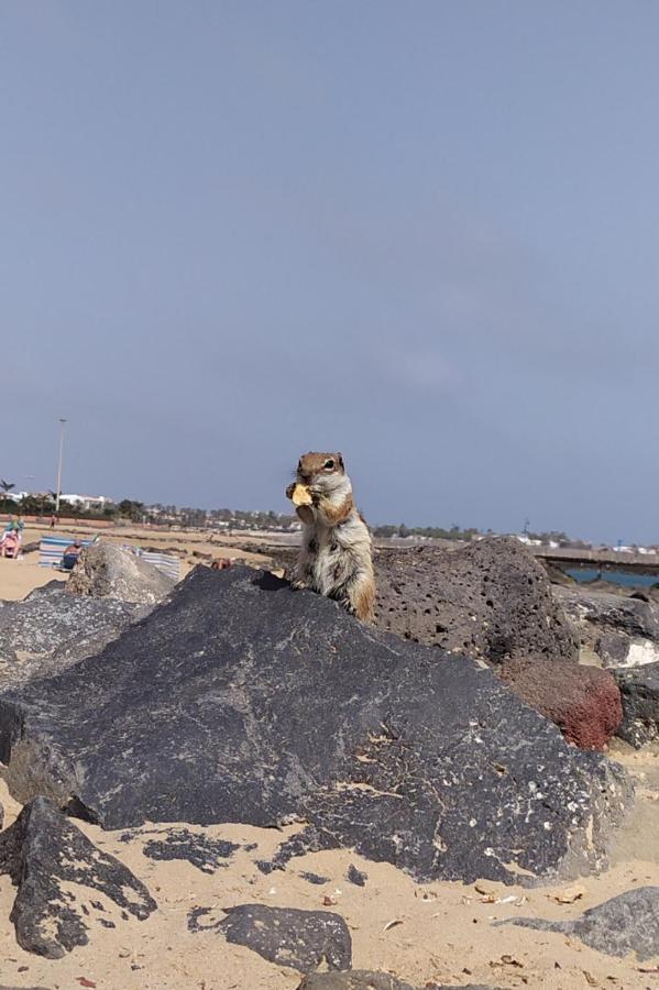 Holiday Rent Fuerteventura Costa De Antigua Ngoại thất bức ảnh